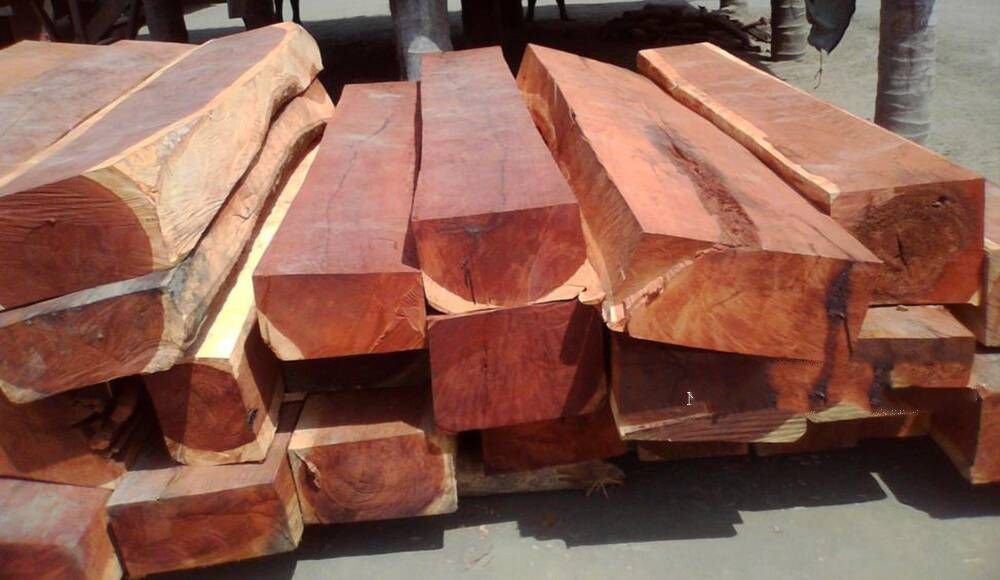 Gỗ gụ là gỗ gì? thuộc nhóm mấy? Giá gỗ gụ bao nhiêu?